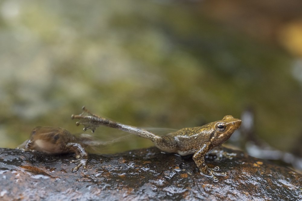 hey i can avoid the kick and kick you back