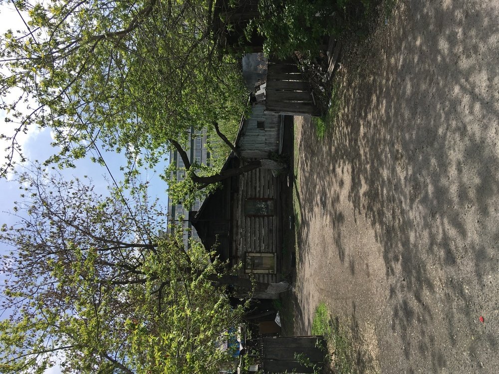 Photograph by Наталья Скиданова