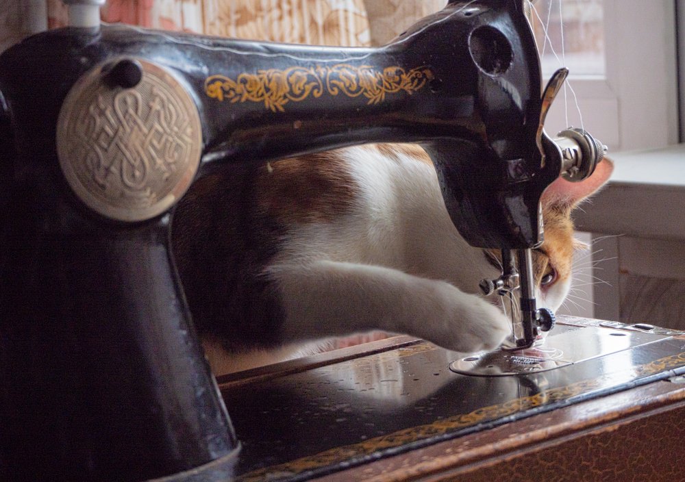 Фотография автора владимир шаронов