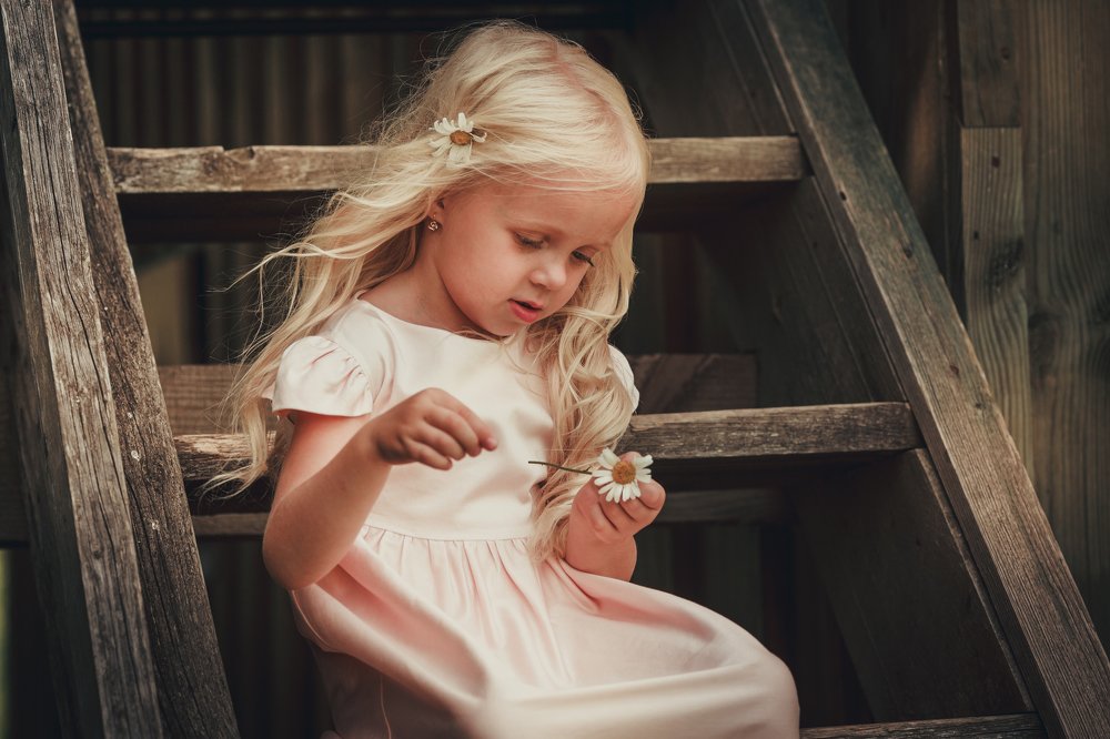 Гадание по ромашке