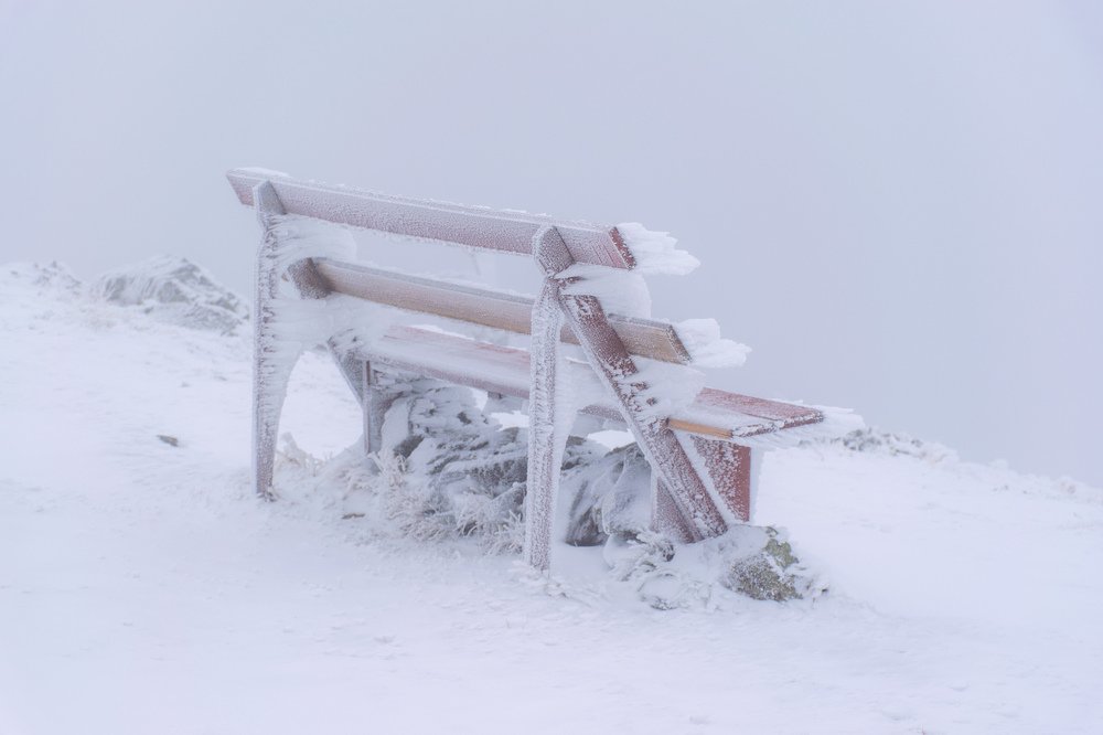 Photograph by Cosma Laura