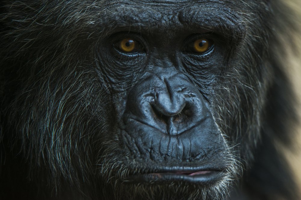 Photograph by elammouni othmane