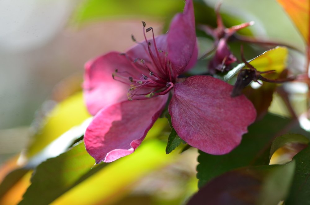 Один раз в год...