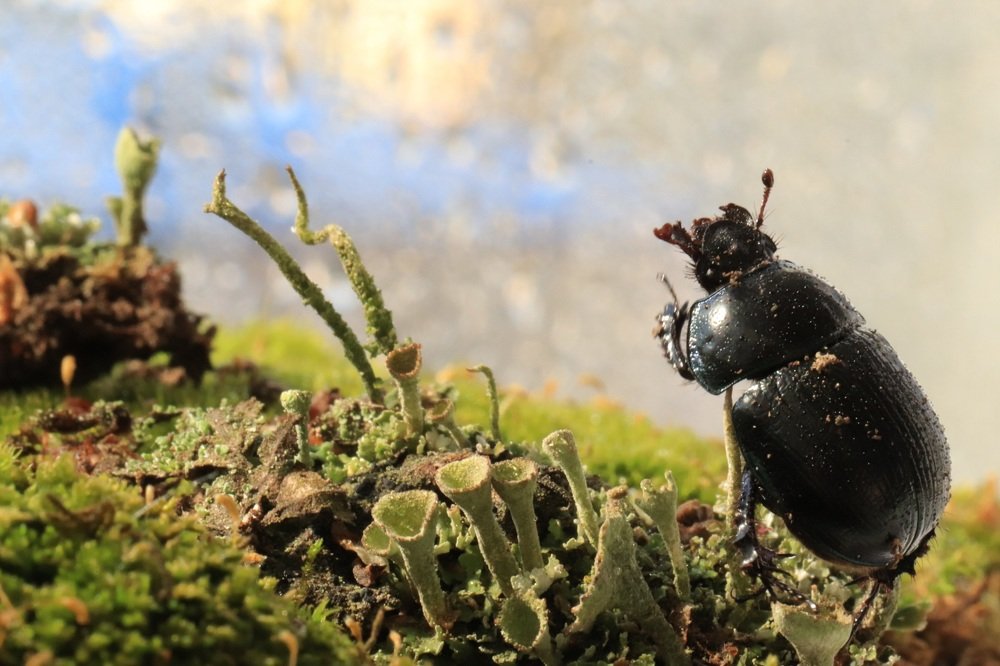 Будьте любезны, не соблаговолите ли Вы?