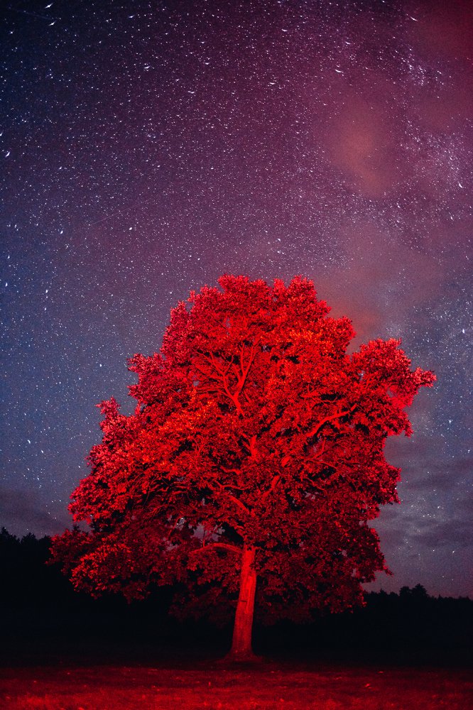 Photograph by Александр Фанковин