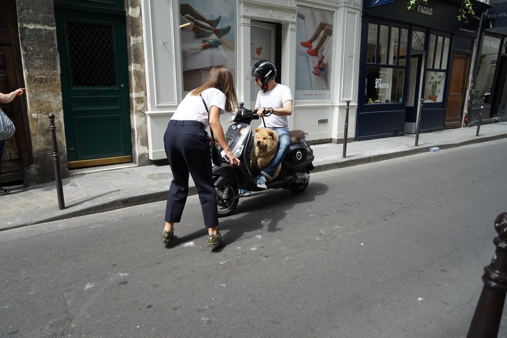 Photograph by Giovanni Tosti