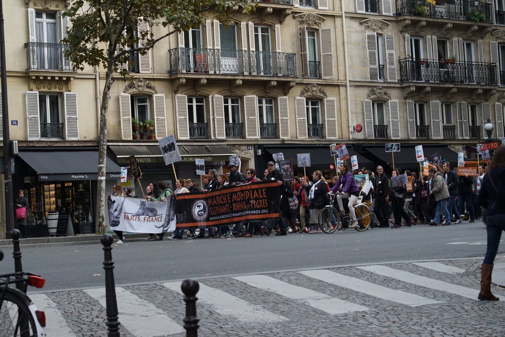 Photograph by Giovanni Tosti