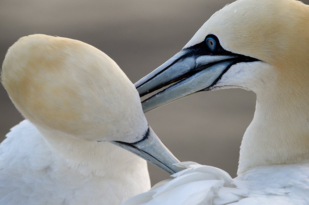 Photograph by Jürgen Wöhrle