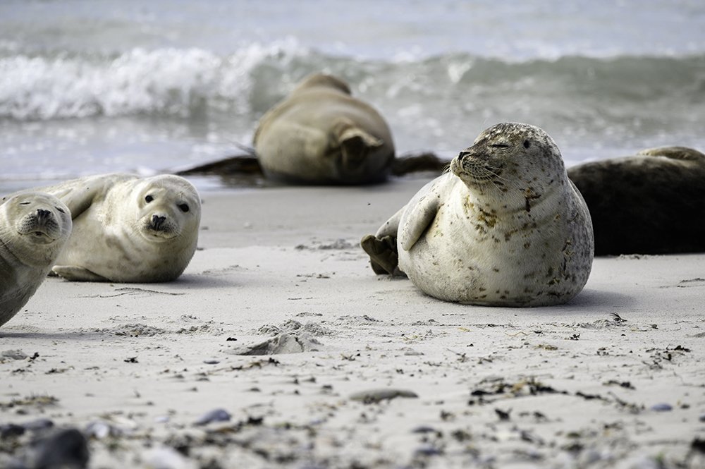 Photograph by Jürgen Wöhrle