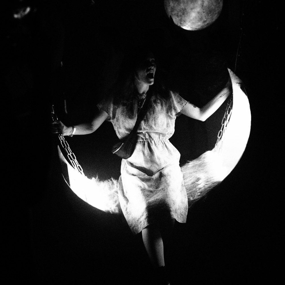 Photo #4099241