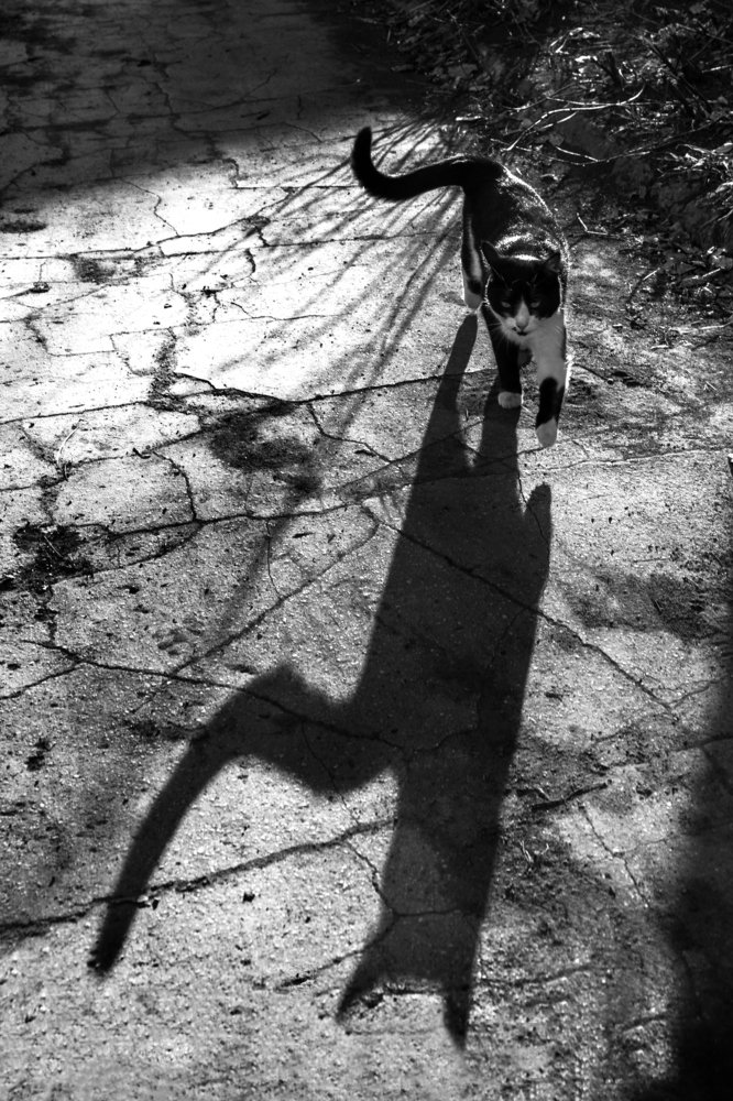 Photograph by Константин шумский