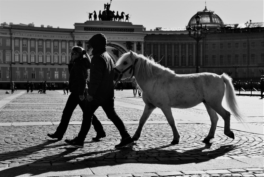 Photograph by Надежда Буаллаг