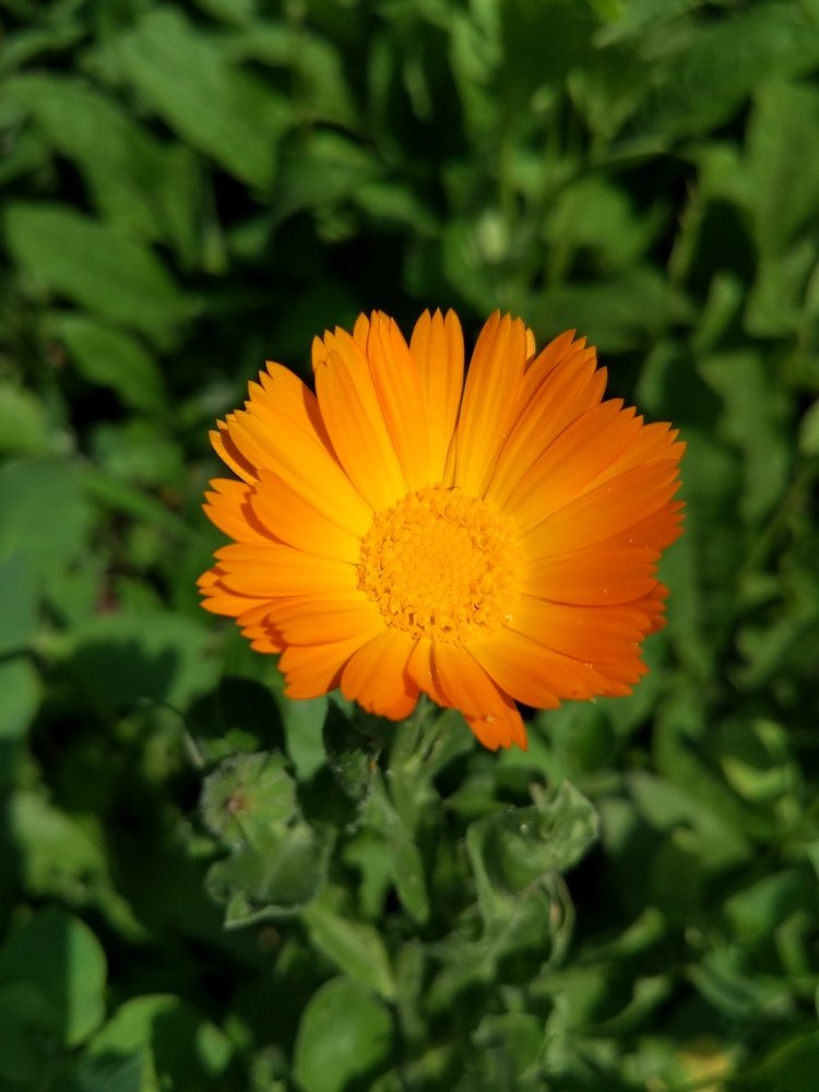 Photograph by Владислав Сапрыкин