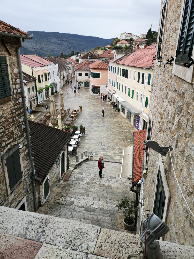 Герцог Нови