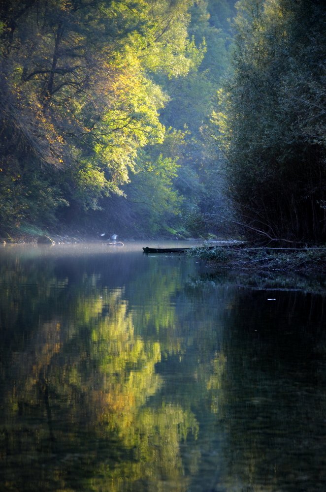 Фотография автора Jadranka Mamić