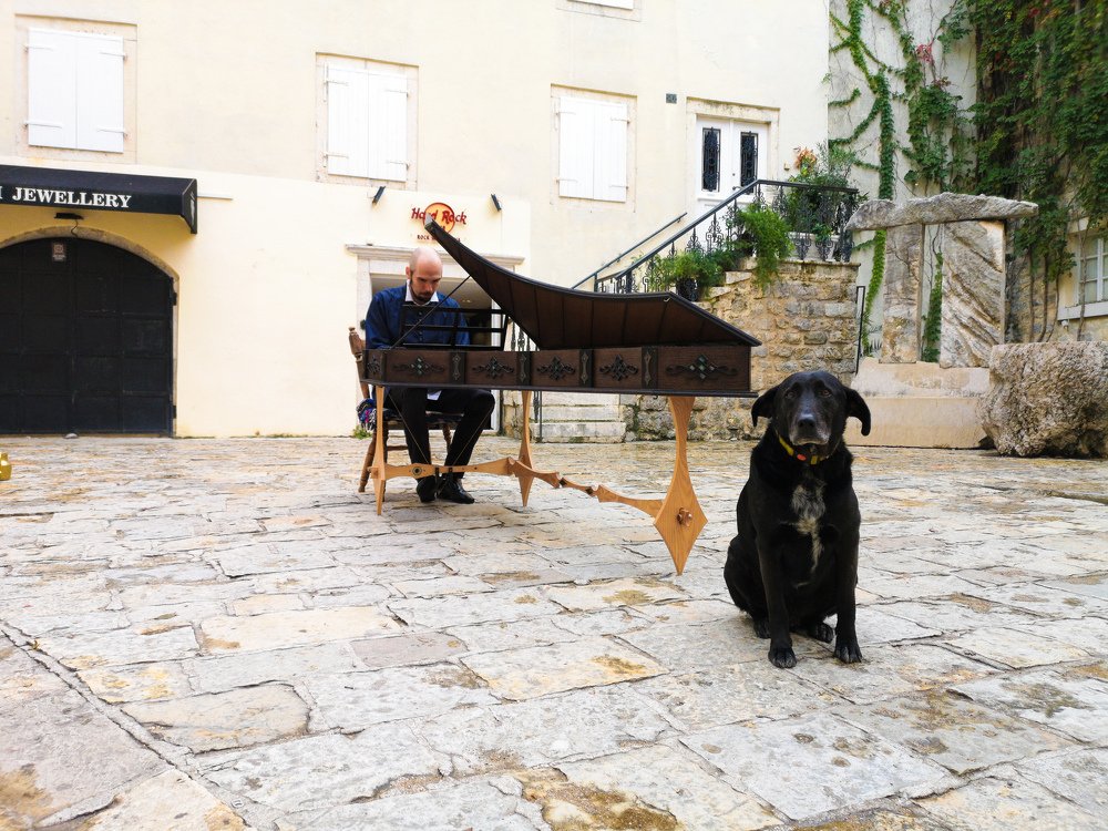 Photograph by Александра Вотякова