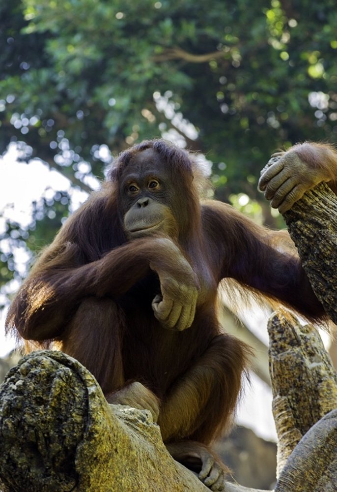 Photograph by Дмитрий Шерстнев