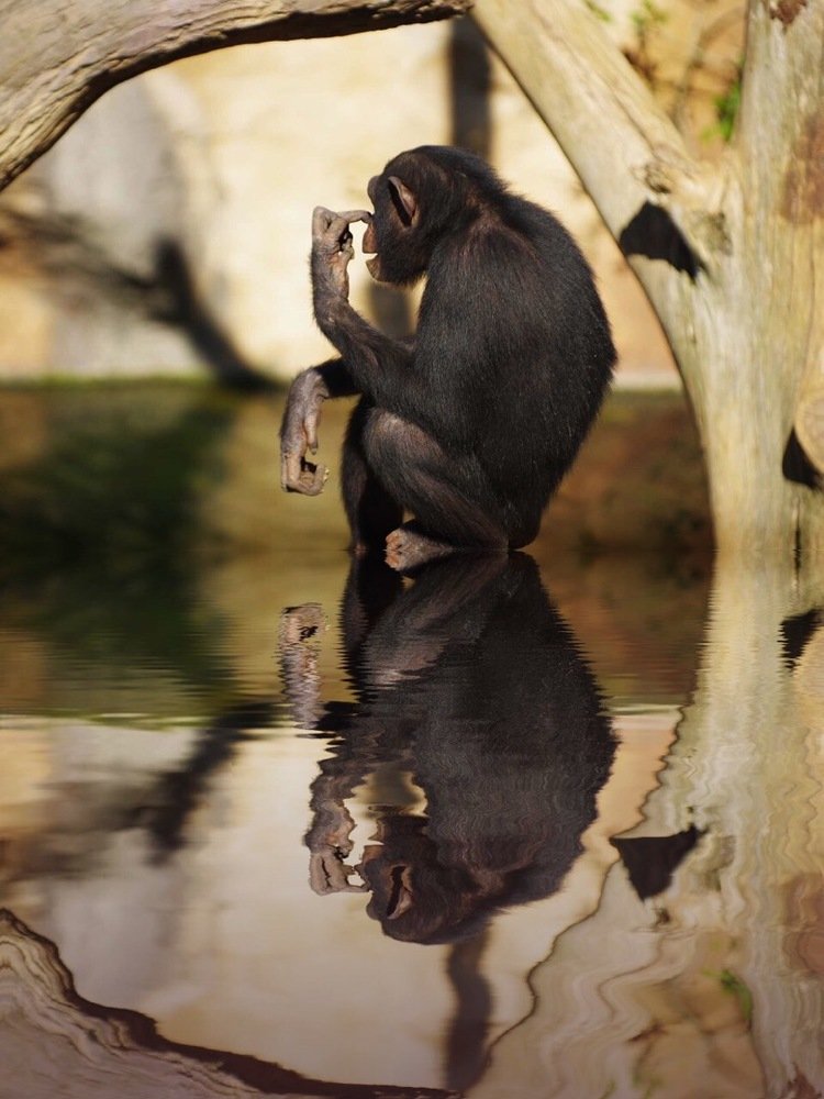 Photograph by Дмитрий Шерстнев