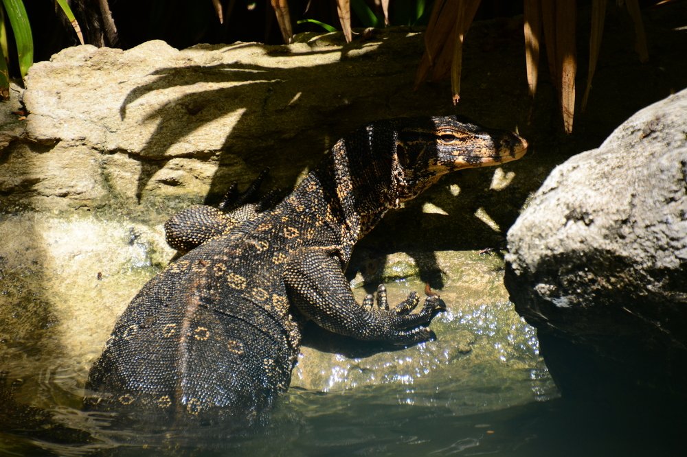 Photograph by Dagmara Giller