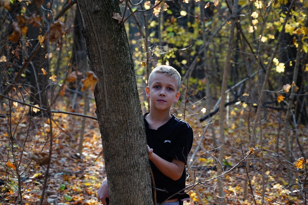 Саша за деревом