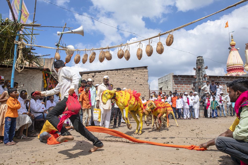 Photograph by Ganesh