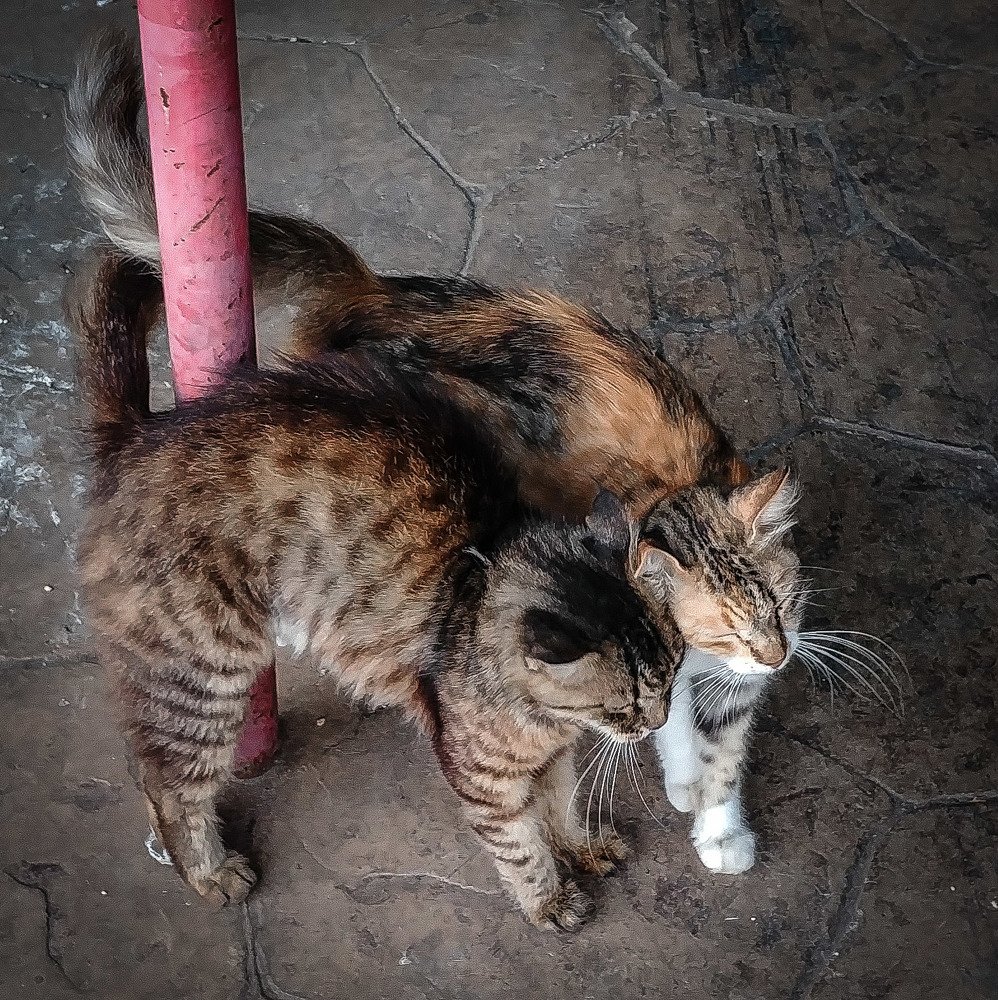 Photograph by Ольга