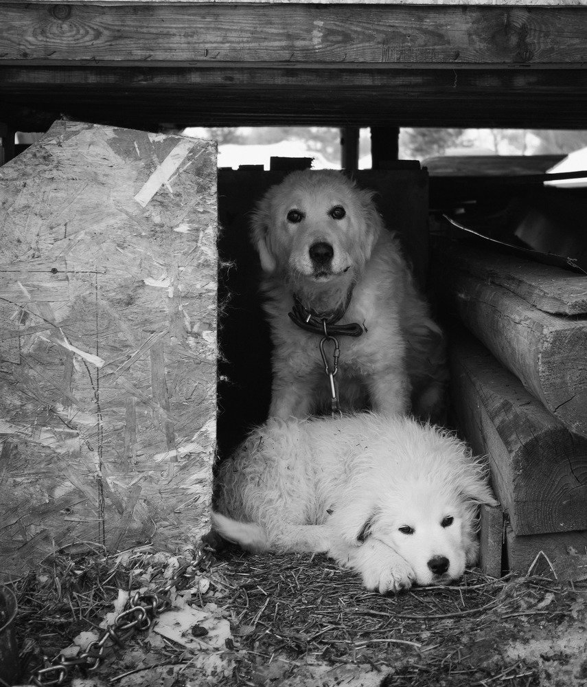 Photo #4099594