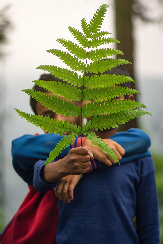 Photograph by Dipayan Debbarma