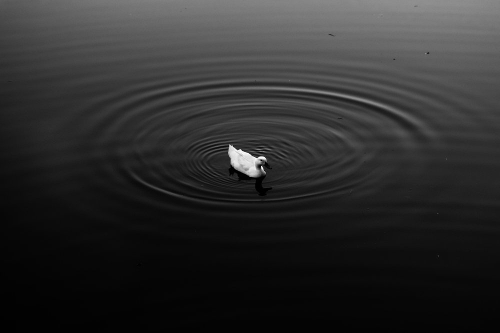 Photograph by Rubaiat Ahmed