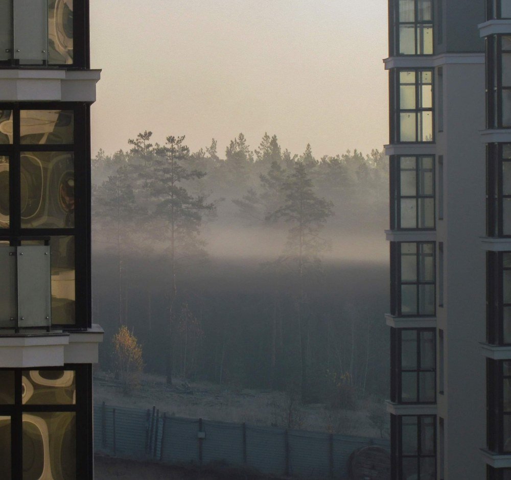 Photograph by Ірина Дрок