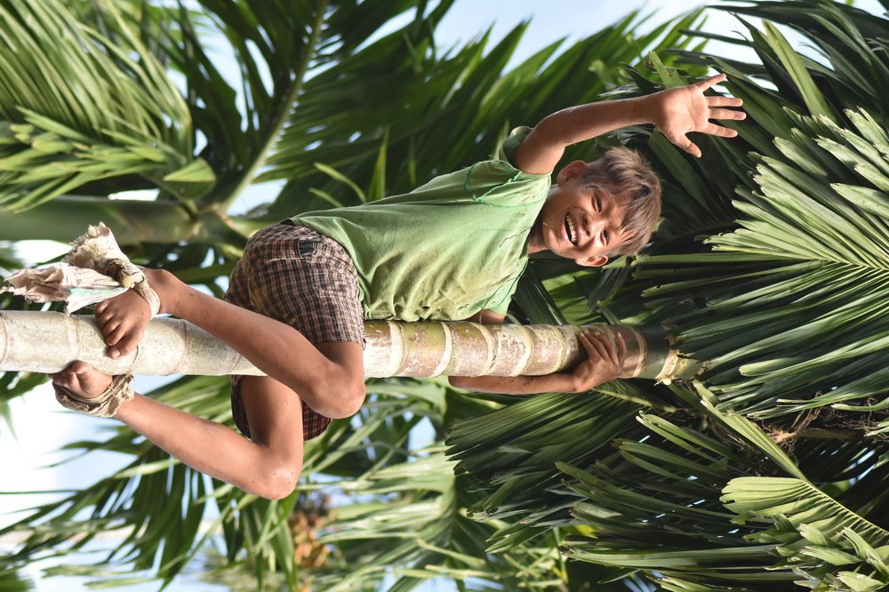 Photograph by Dipayan Debbarma