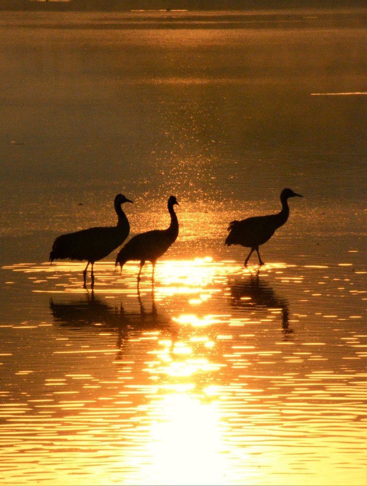 Photograph by Dagmara Giller