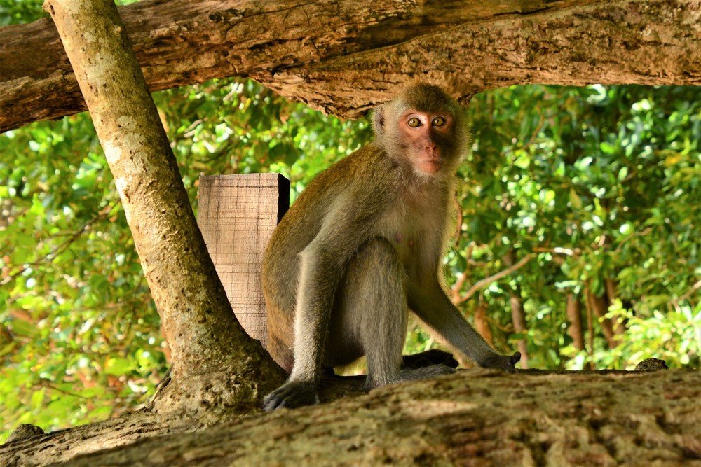 Photograph by Dagmara Giller