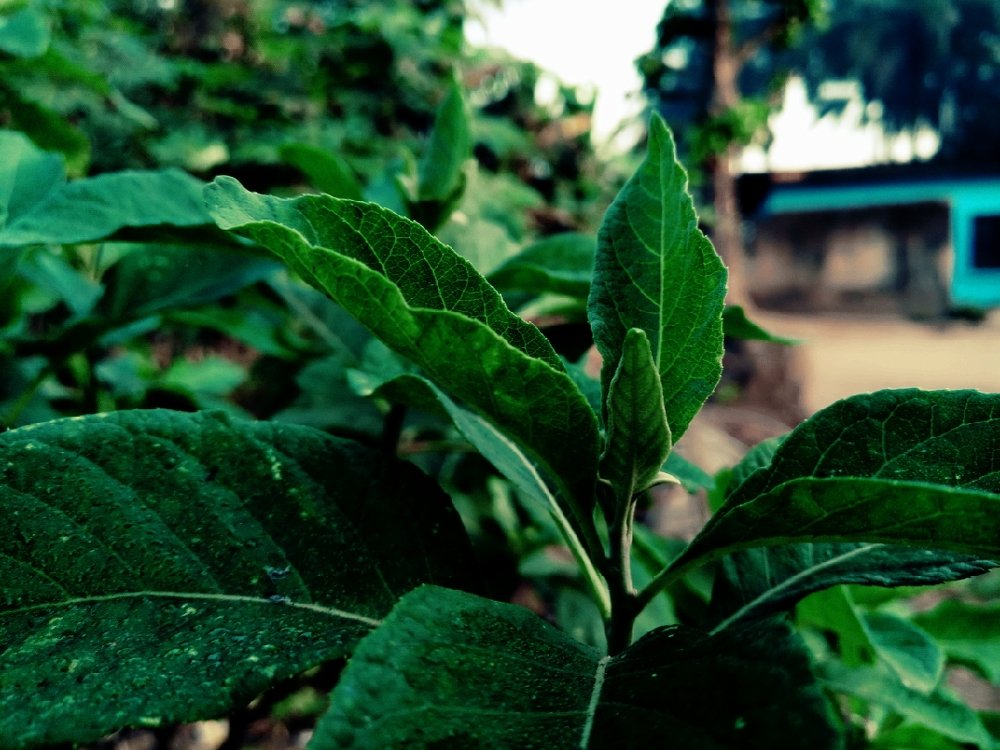 Photograph by George Uchechi