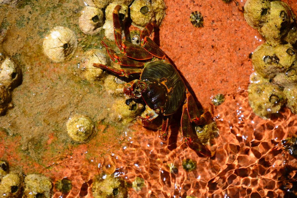 Photograph by Dagmara Giller