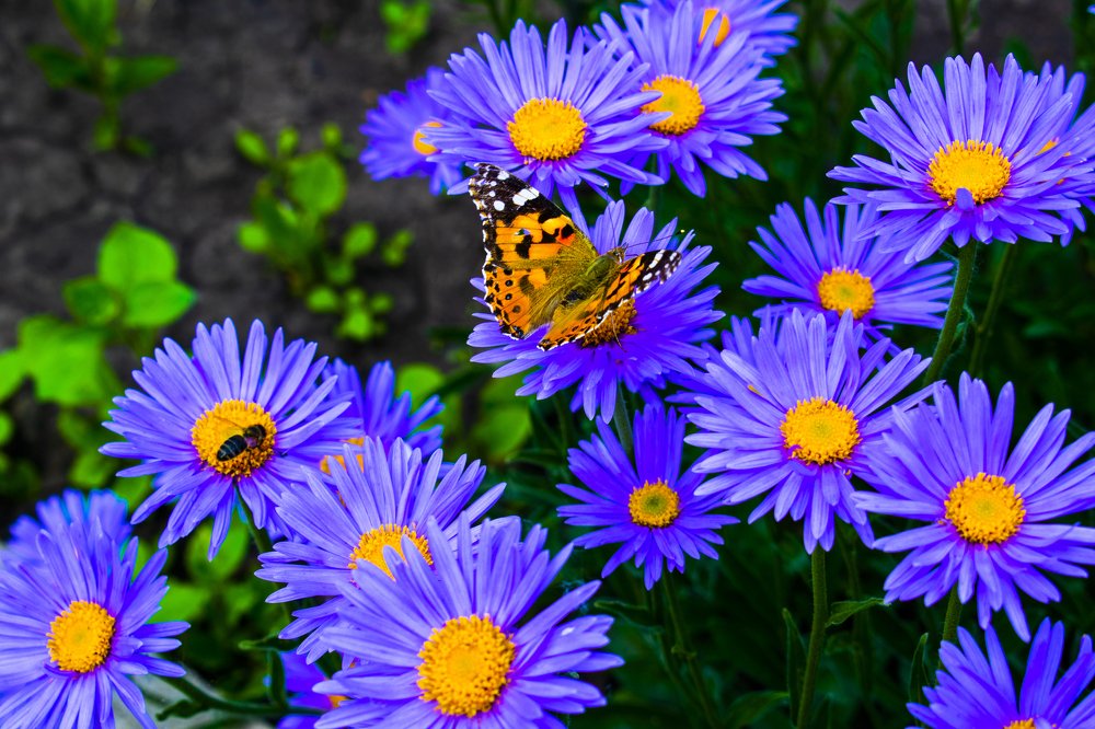 Photograph by Виктор Бурмистров