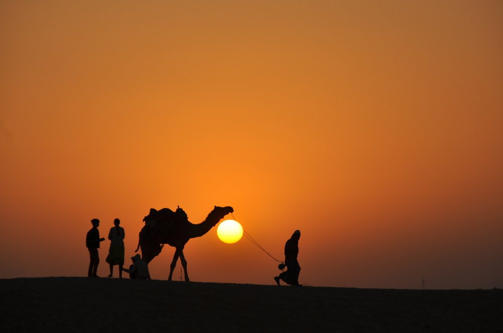 Golden Beauty - Thar Desert