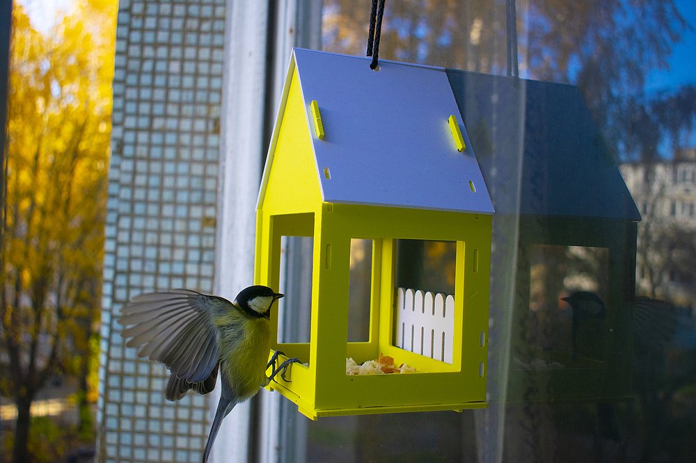 Photograph by Виктор Бурмистров