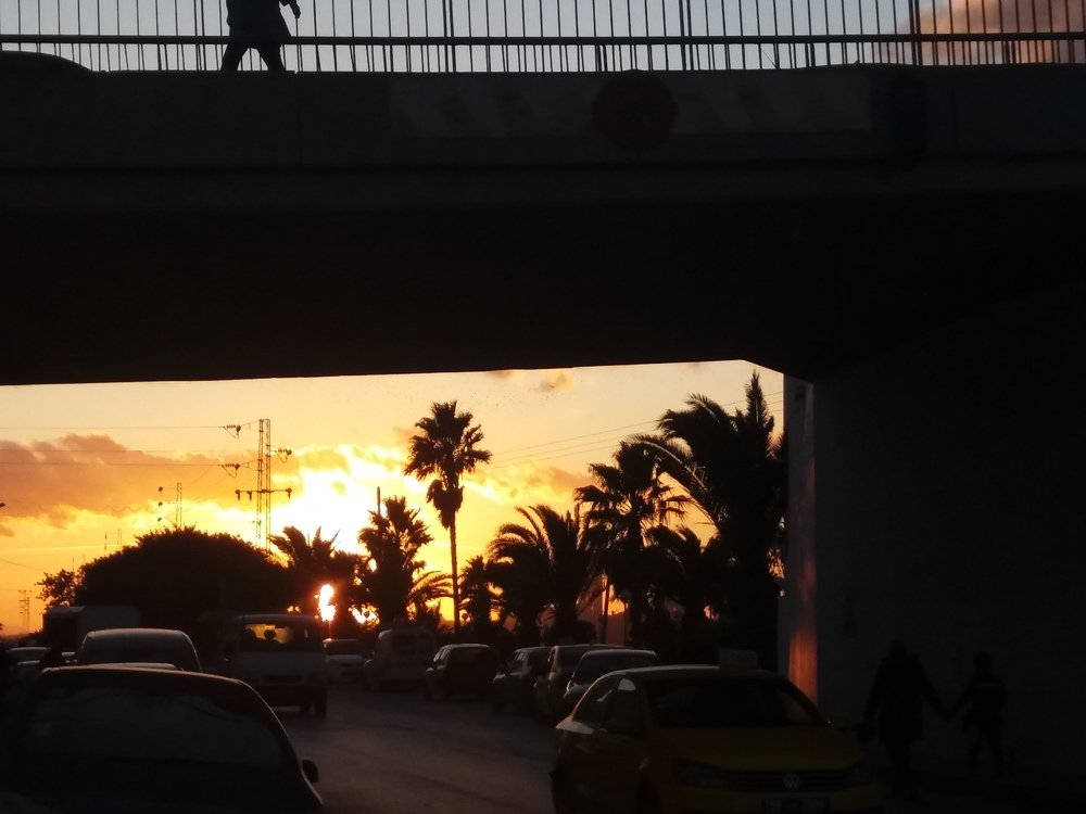 Photo #4099957