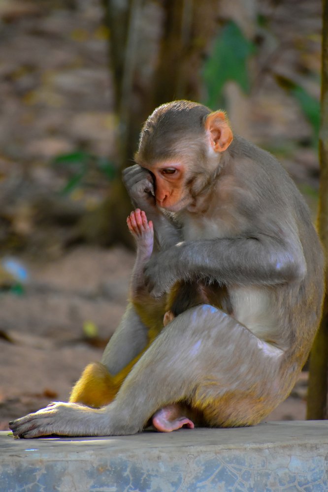 Photograph by Sandeep Priyadarshi