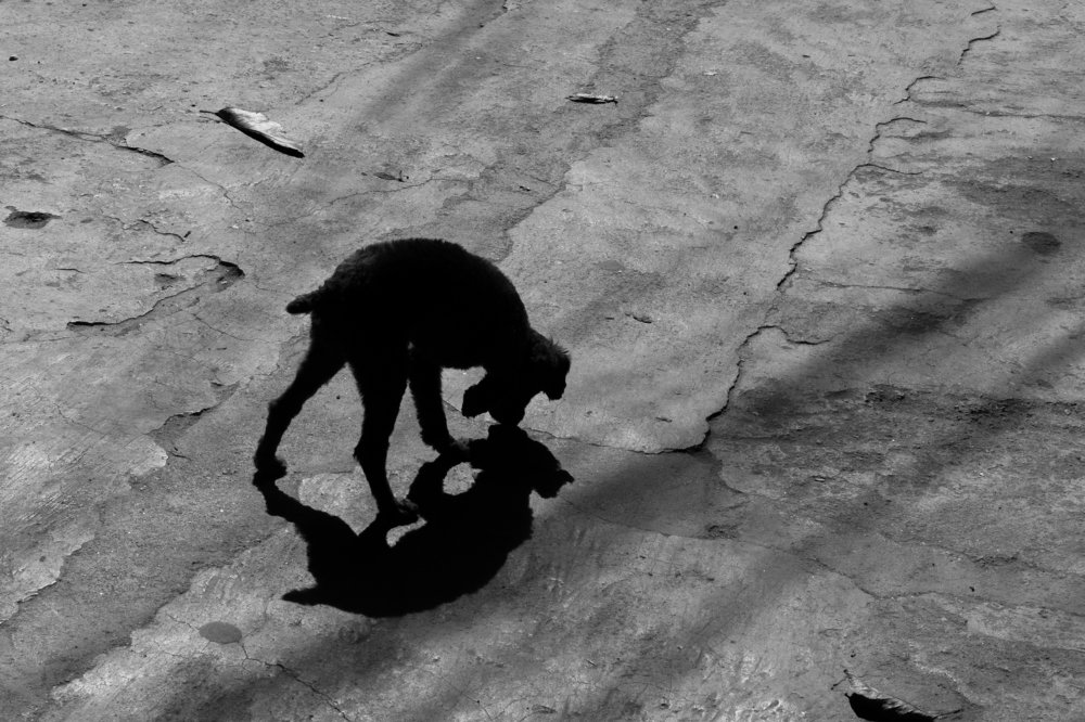 Photograph by Rusudan Khubutiya