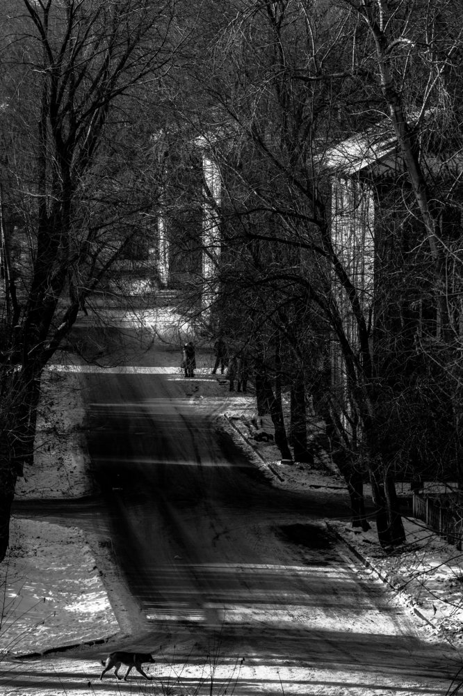 Photograph by Константин шумский