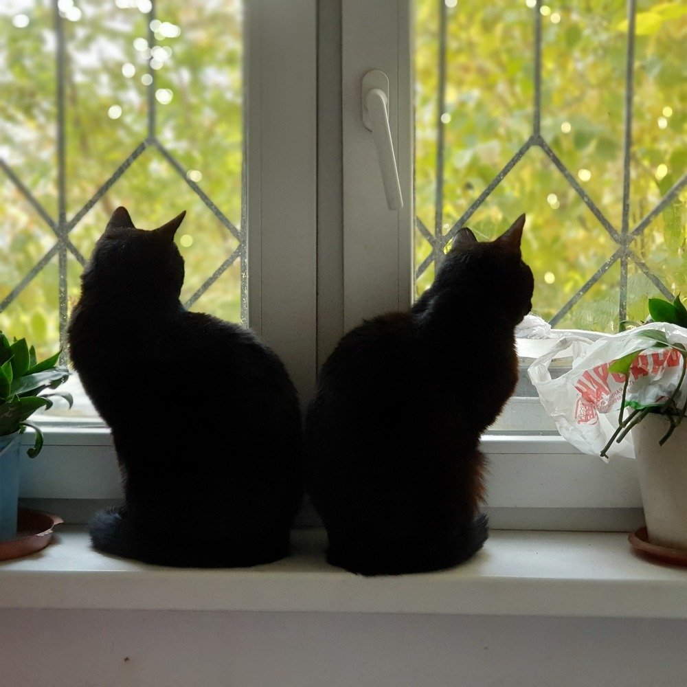 Photograph by Валентина Галич