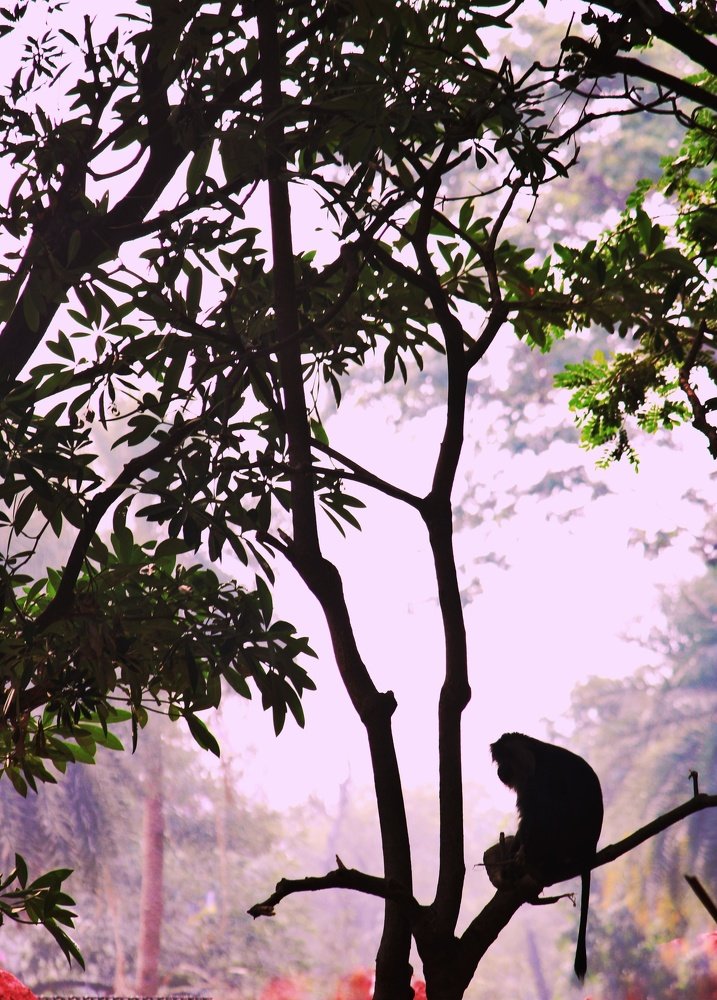 Photograph by Sai kumar Bheemanaboina