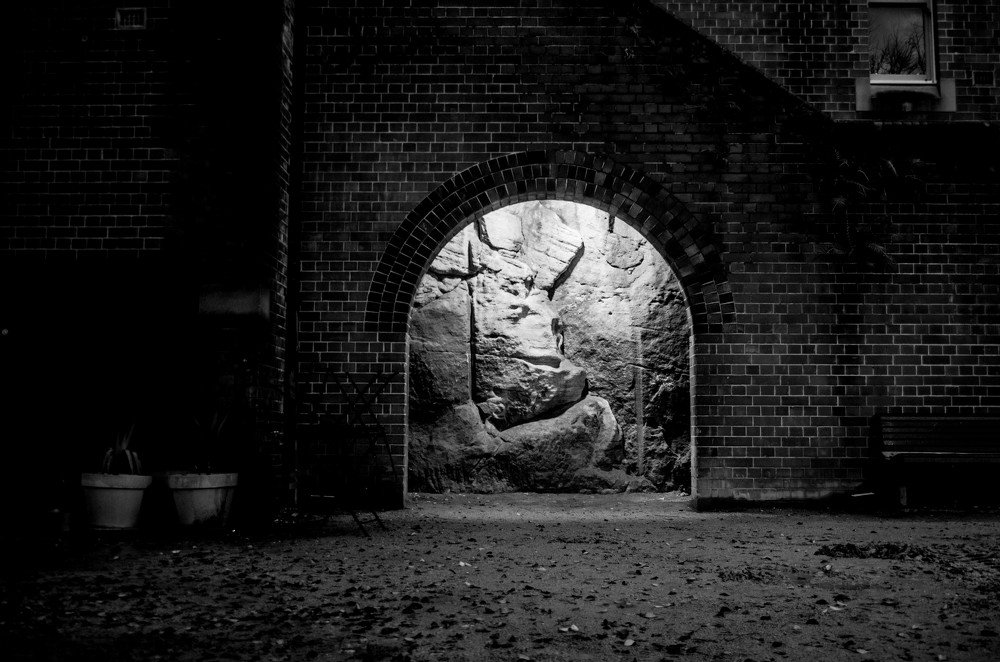 Photograph by Alondra Juárez Ramírez