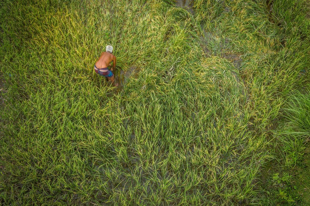 Фотография автора Tanay sarker