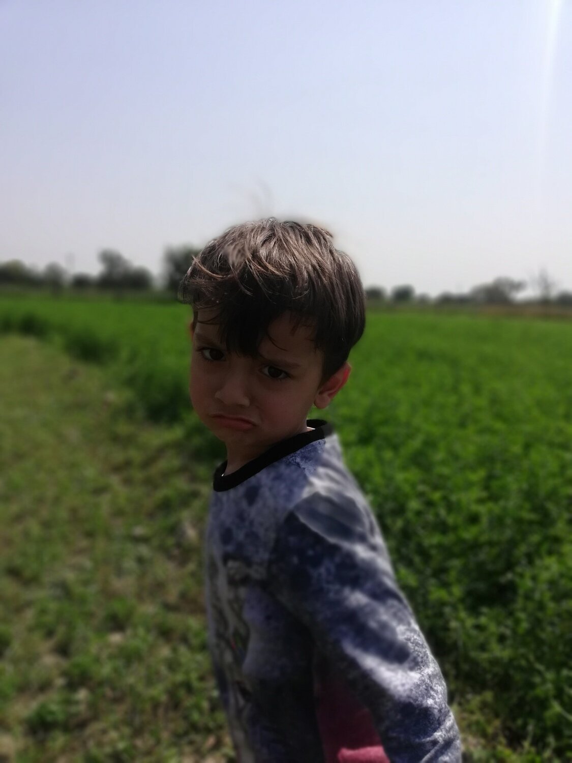 Photo #4100161