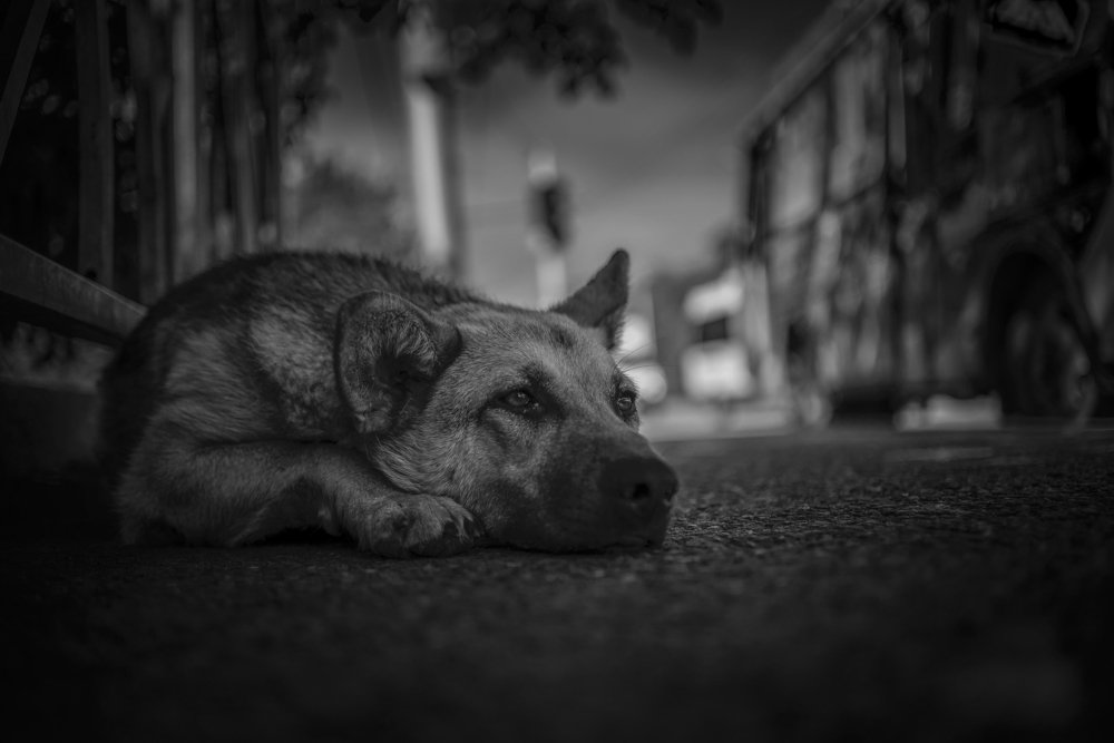 Photograph by Александр