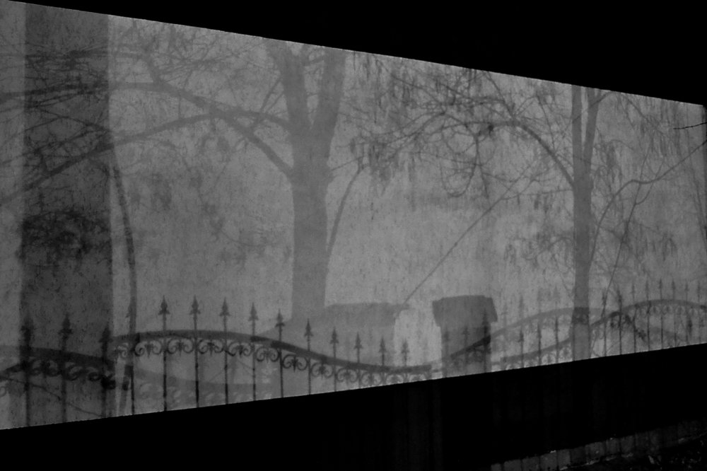 Фотография автора Ирина Якущенко