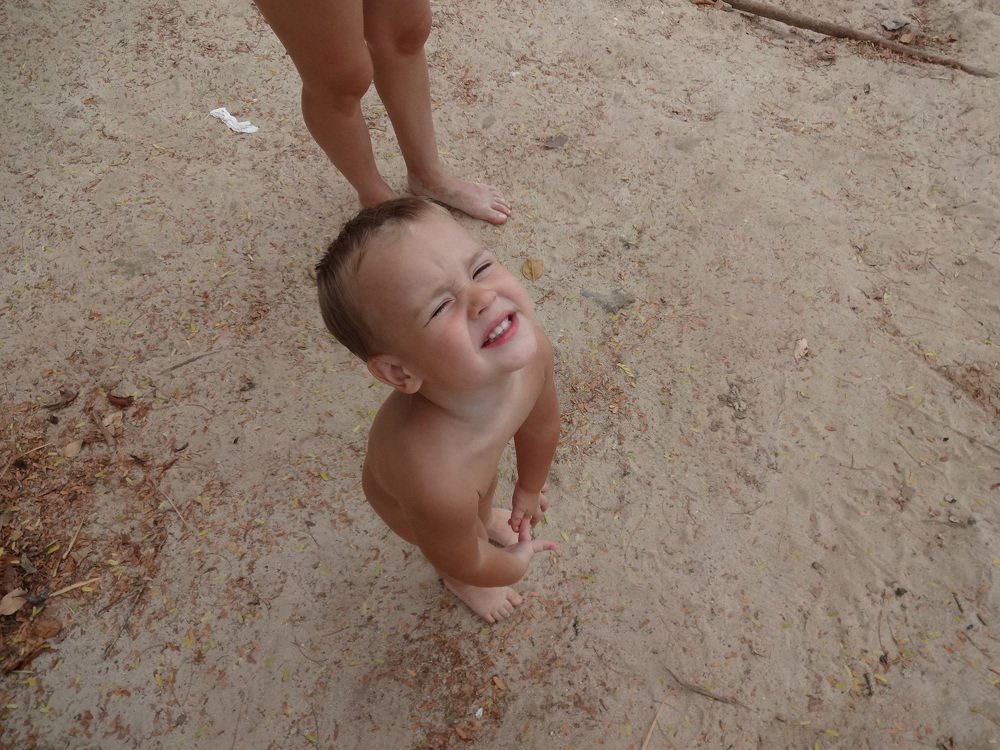 Photo #4100252